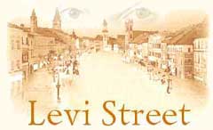 Главная площадь Levi Street